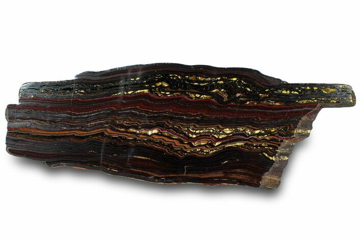 Polished Tiger Iron Stromatolite Slab - Billion Years #319393